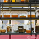 Fermentación Gastronómica