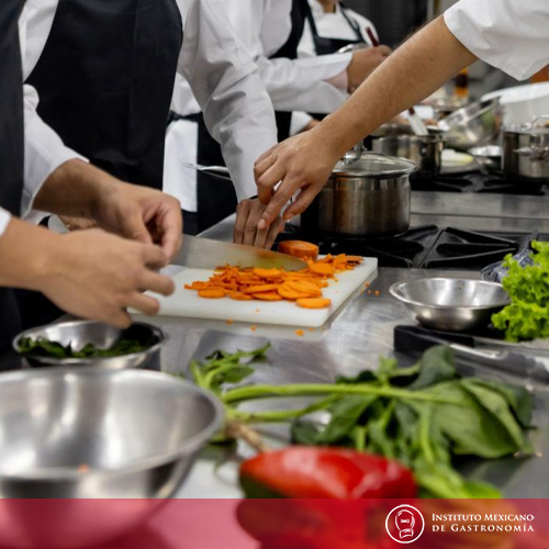 ¿Qué tan difícil es estudiar gastronomía?