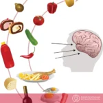 Neurogastronomía