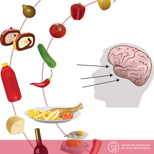 Neurogastronomía